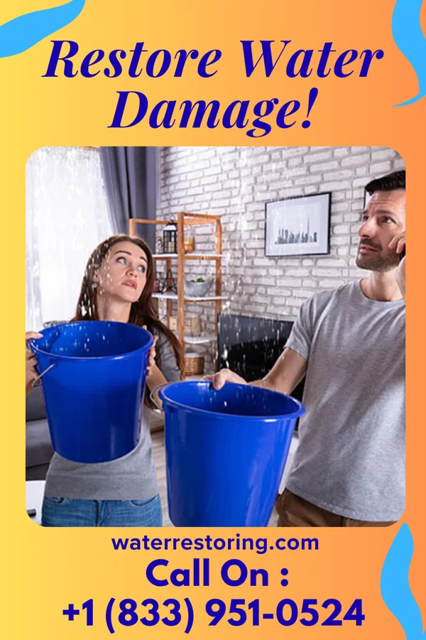 water restoration Diamond Sewage Cleanup Masters MacDonnell Heights