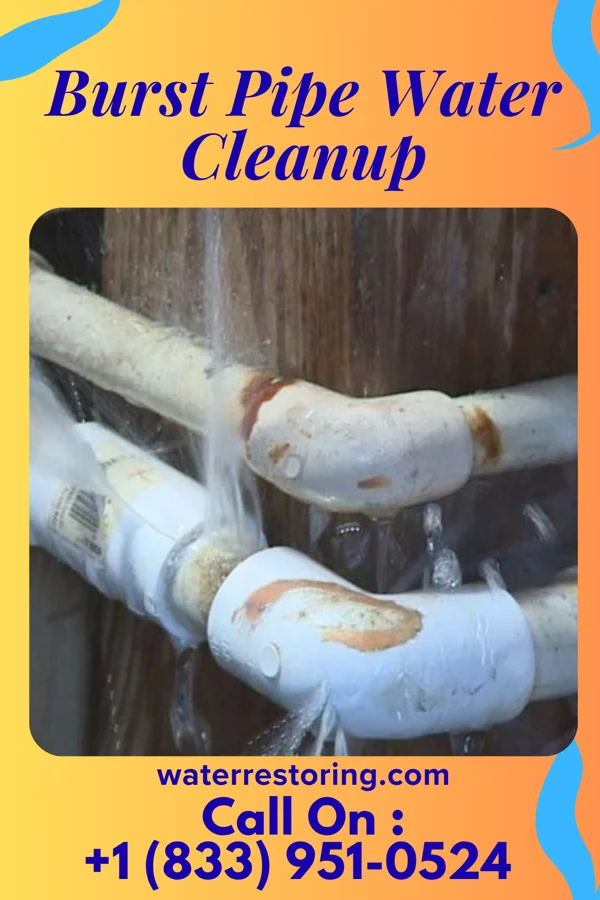 Burst Pipe Water Cleanup in MacDonnell Heights, NY