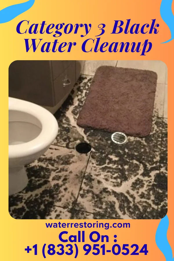 Category 3 Black Water Cleanup in MacDonnell Heights, NY