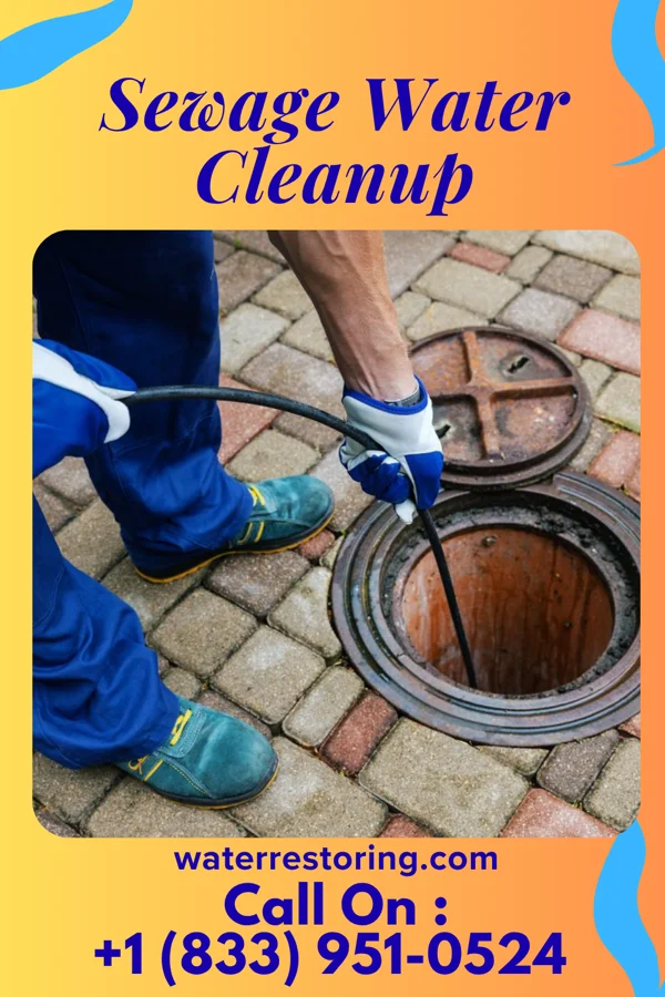 Sewage Water Cleanup in MacDonnell Heights, NY