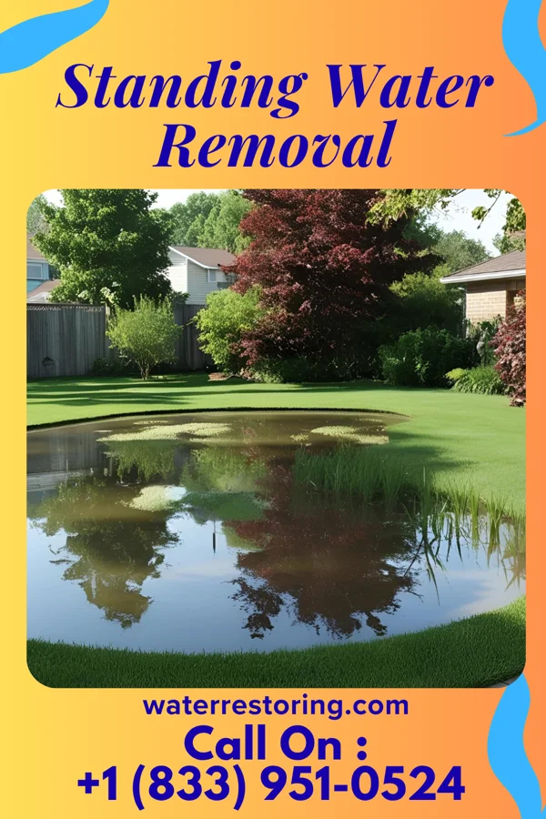 Standing Water Removal in MacDonnell Heights, NY